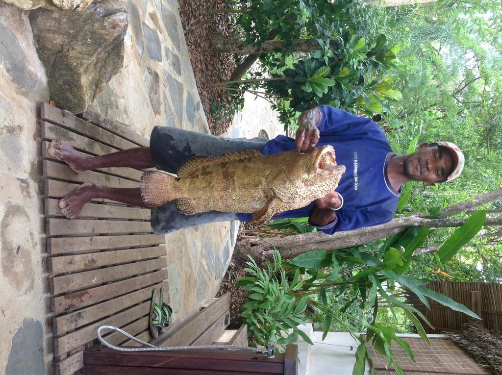 Coco Komba Lodge Nosy Komba Buitenkant foto